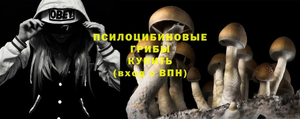 сатива Баксан