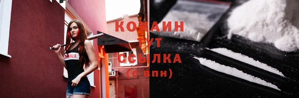сатива Баксан