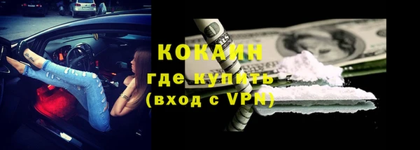 сатива Баксан