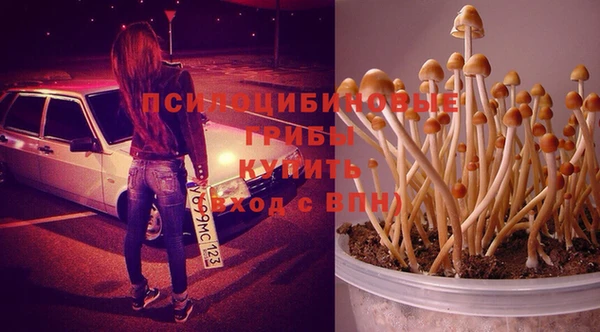 не бодяженный Балахна