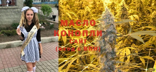 сатива Баксан