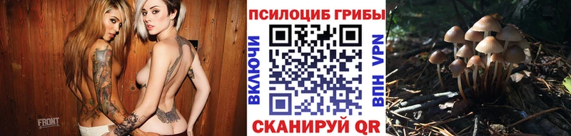 Галлюциногенные грибы Psilocybine cubensis Новый Оскол