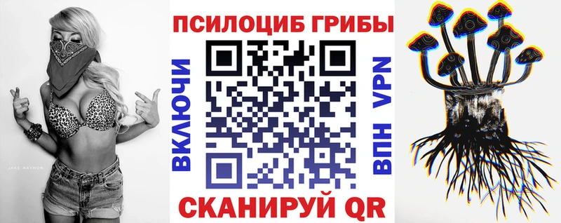 Псилоцибиновые грибы MAGIC MUSHROOMS  Новый Оскол 