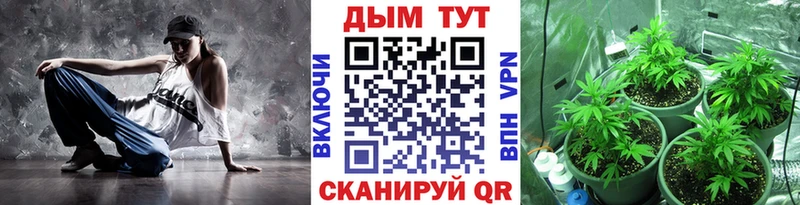 продажа наркотиков  блэк спрут как войти  Каннабис LSD WEED  Новый Оскол 